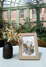 Pressed Flower Art Workshop at Rippon Lea Estate