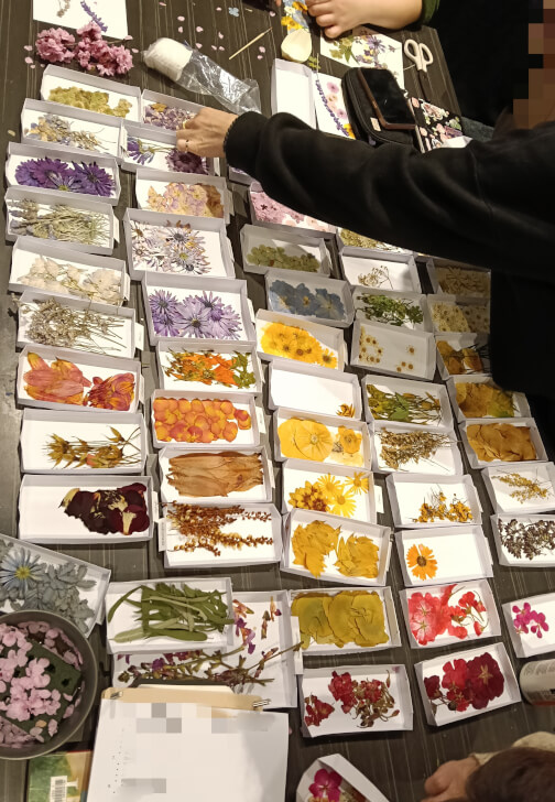 Pressed Flower Art Workshop at Rippon Lea Estate