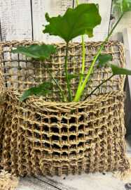 Seagrass Basket Making Workshop