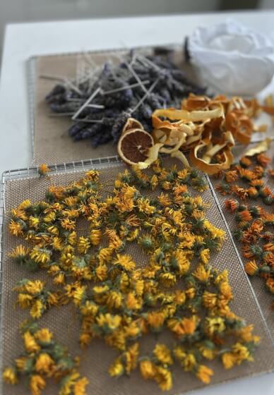 South Australian Botanical Skincare Workshop