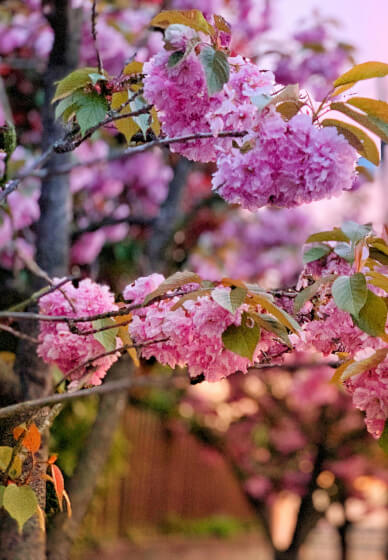 Spring Photography Workshop