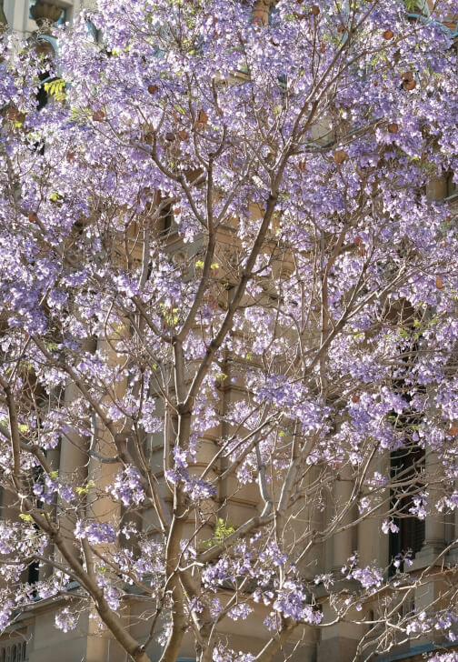Photography class in Sydney
