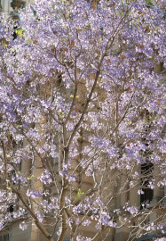 Spring Photography Workshop