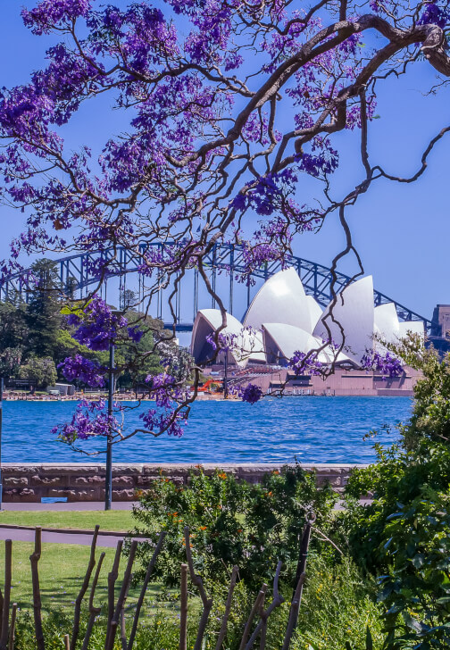 Photo from a photography class in Sydney