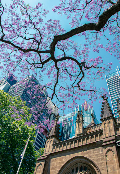 Spring Photography Workshop