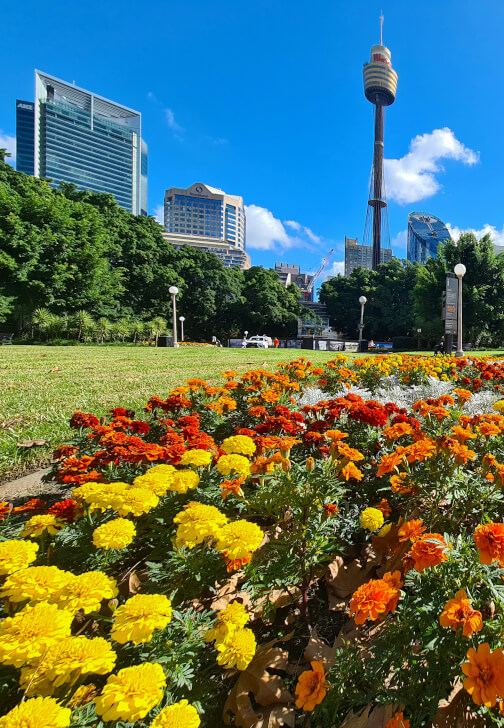 Spring Photography Workshop