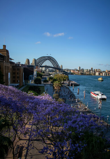 Spring Photography Workshop