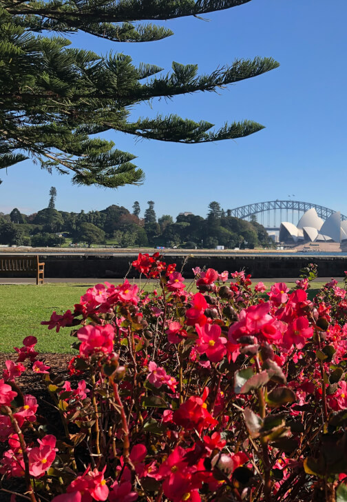 Photo from a photography class in Sydney