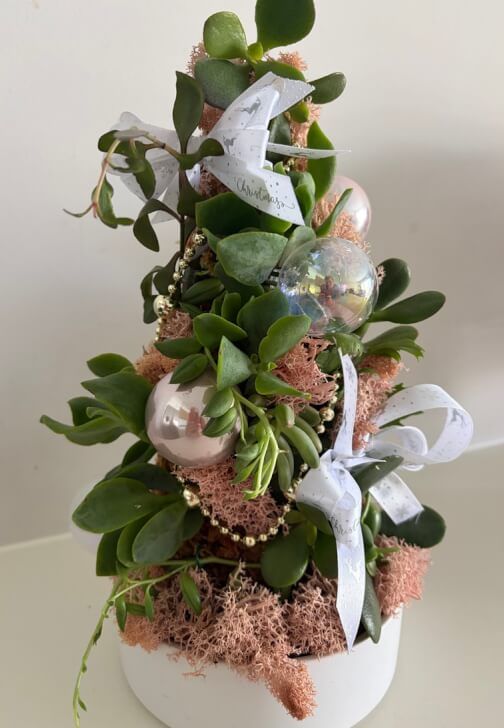 Succulent Christmas Tree Making Workshop