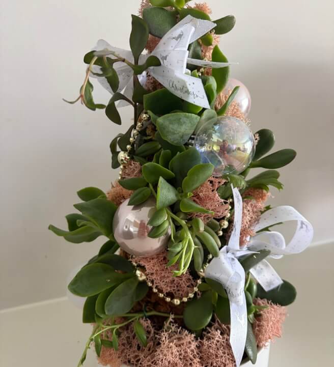 Succulent Christmas Tree Making Workshop