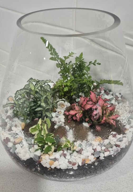 Terrarium Making Workshop: Two Options