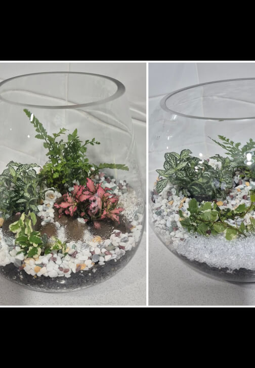 Terrarium class in Pakenham