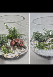Terrarium Making Workshop: Two Options