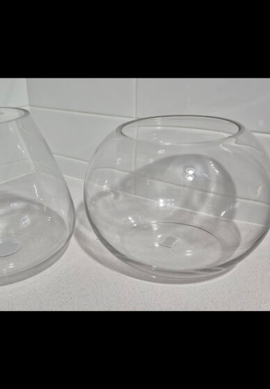 Terrarium Making Workshop: Two Options