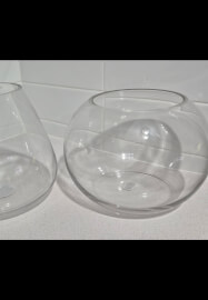 Terrarium Making Workshop: Two Options