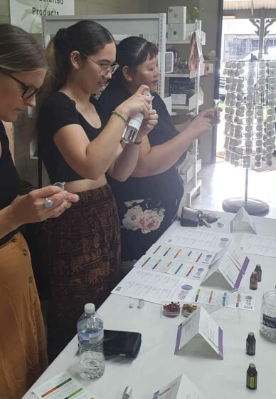 The Christmas Wellness Workshop