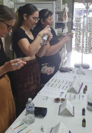 The Christmas Wellness Workshop