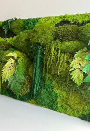 The Green Glow Up — Preserved Moss Art Workshop