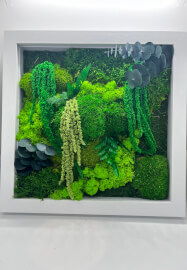 The Green Glow Up — Preserved Moss Art Workshop