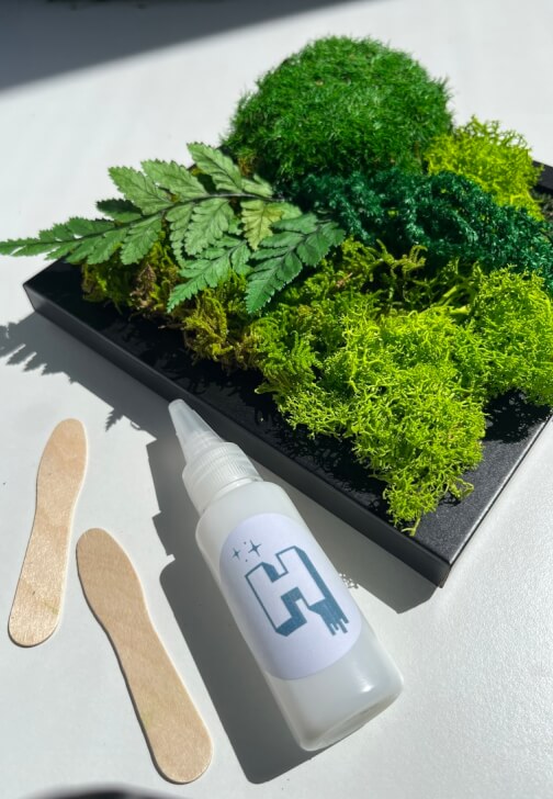 The Green Glow Up — Preserved Moss Art Workshop