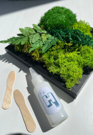 The Green Glow Up — Preserved Moss Art Workshop