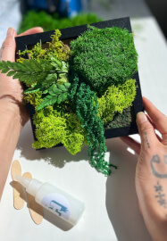 The Green Glow Up — Preserved Moss Art Workshop