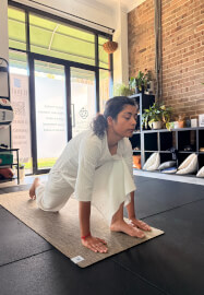 Yoga Beginner Course (2 Sessions)