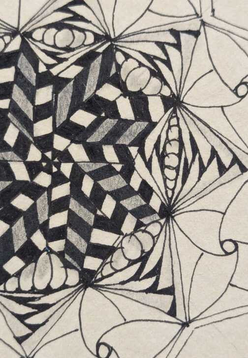 Photo from a drawing class