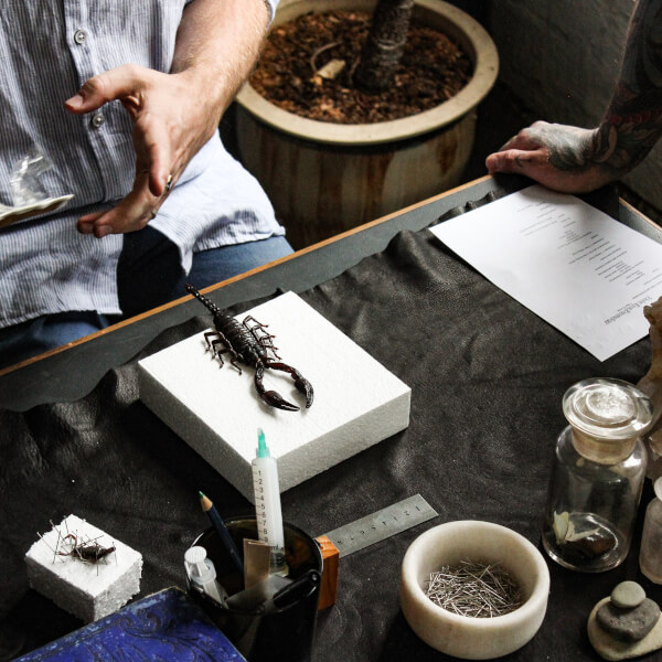 Photo from a Violet Eyes Entomology workshop