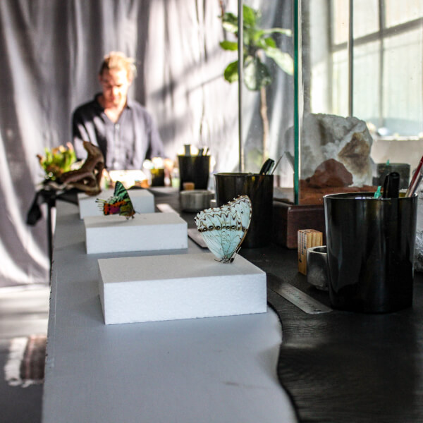 Photo from a Violet Eyes Entomology workshop
