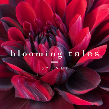 Blooming Tales Sydney