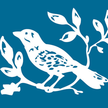 Bluebird Foundation