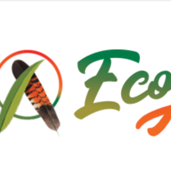 Eco Action