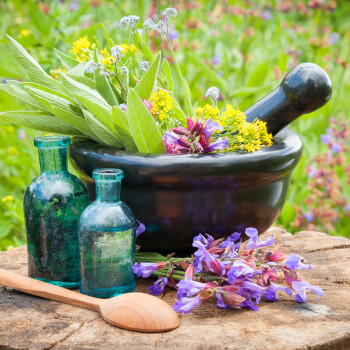 Herbs For Life