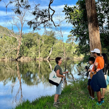 Kotahi Tourism