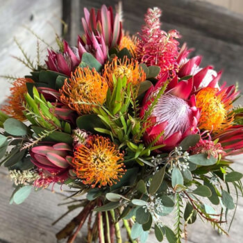 Lush blooms Melbourne