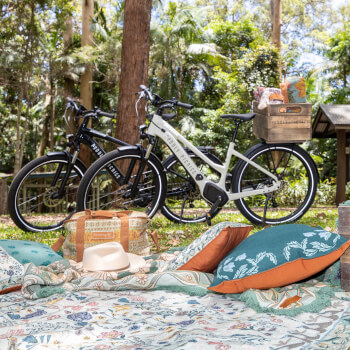 Peddly Picnics