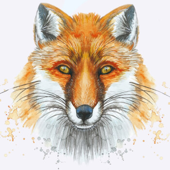 The Fox Hole