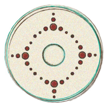 The Medicine Wheel