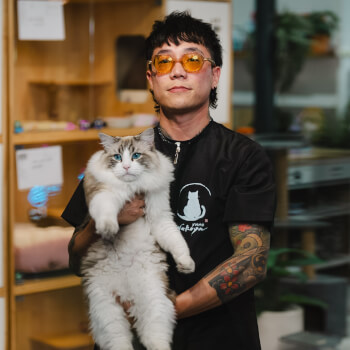 XMMO Cat Hotel & Spa