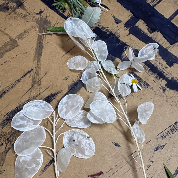 Botanic Cyanotypes Workshop review by Liesbet Spanjaard - Sydney