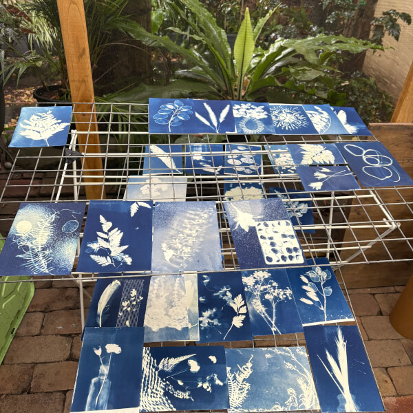Botanic Cyanotypes Workshop review by Liesbet Spanjaard - Sydney