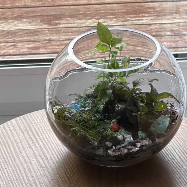 Make Your Own Terrarium Workshop review by Jennifer Carr - Sydney