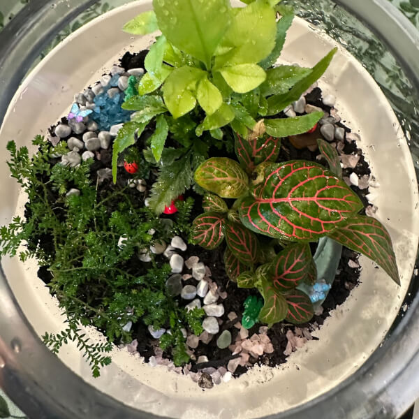 Make Your Own Terrarium Workshop review by Jennifer Carr - Sydney