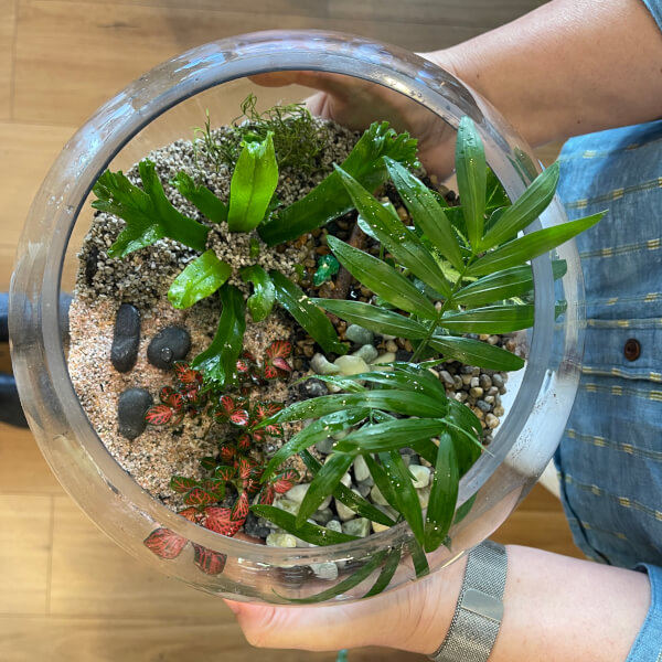 Make Your Own Terrarium Workshop review by Stella Vasiliadis - Sydney