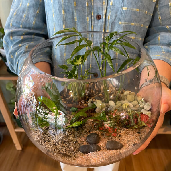 Make Your Own Terrarium Workshop review by Stella Vasiliadis - Sydney