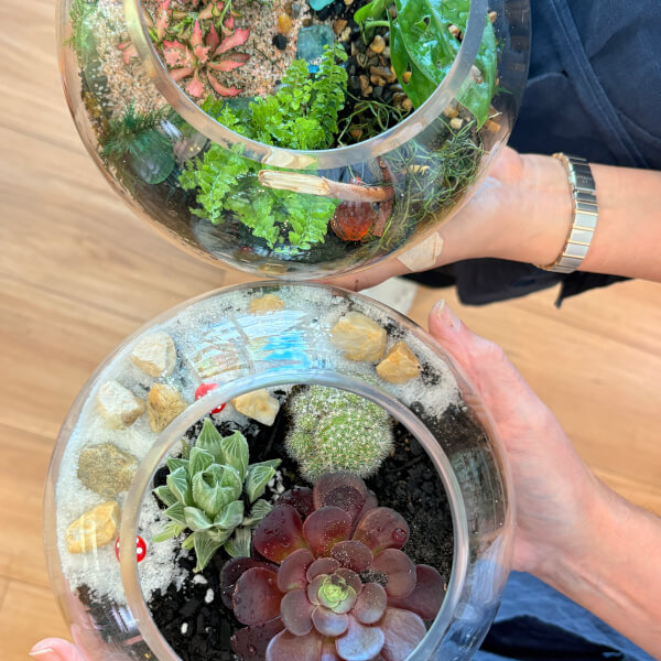 Make Your Own Terrarium Workshop review by Elaine Greaves - Sydney