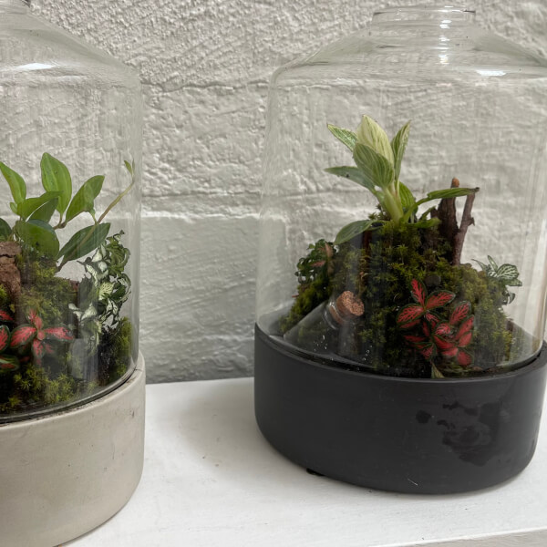 Mindful Making Workshop: Mini Moss Terrarium review by Lucy Robson - Melbourne