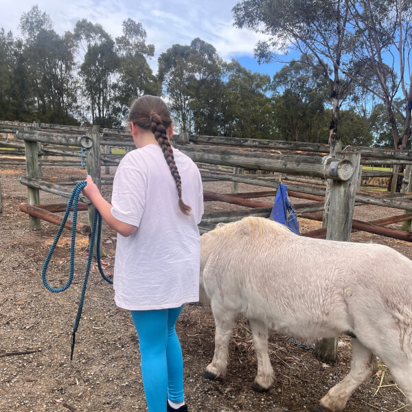 Pony Walking Adventure review by Lisa Projkovski - Sydney