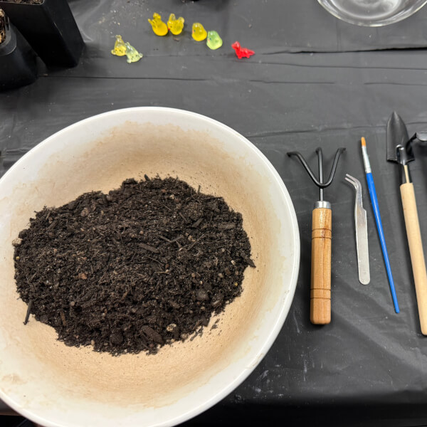 Serene Terrarium Workshop for Beginners review by Dylan Cohen - Melbourne